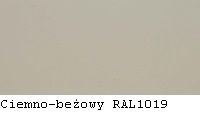 Ciemnobeżowy RAL 1019 